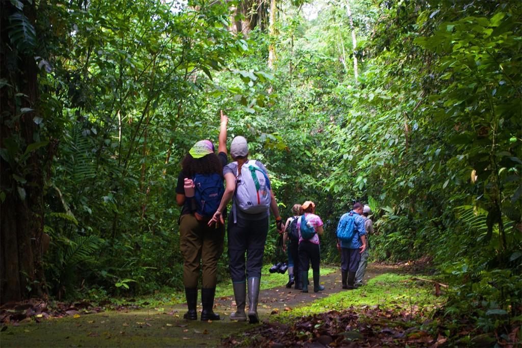 U N E biological sciences students walk the rainforest in 哥斯达黎加 while taking a travel course