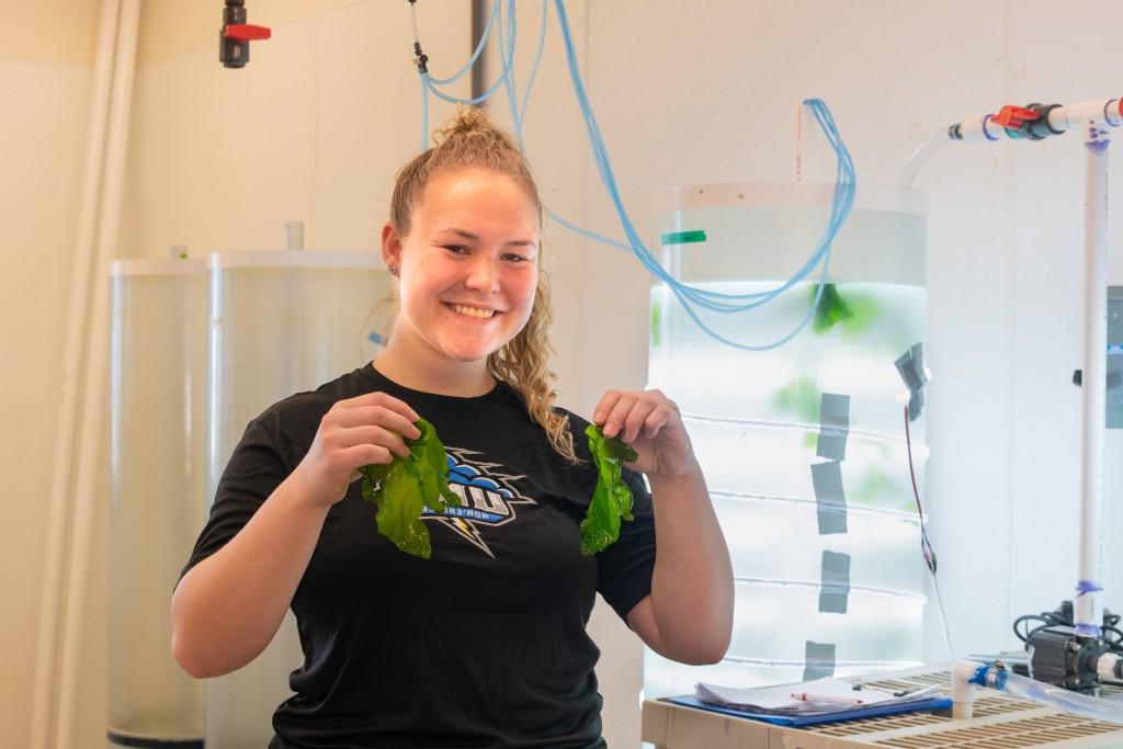 student holding sea lettuce in lab