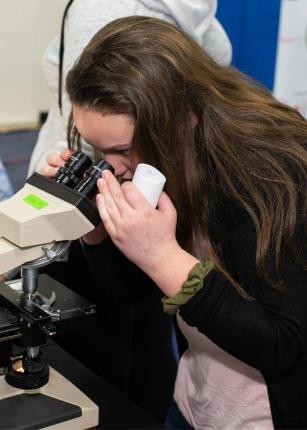 A student peers through a microscope during a U N E 大脑公平