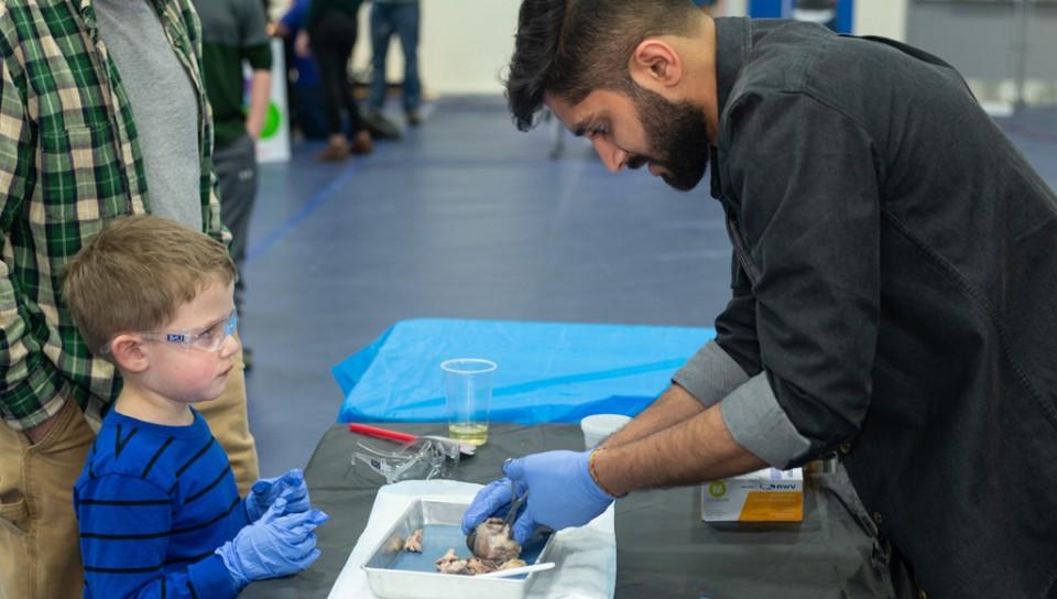 A student shows a brain specimen to a child during the U N E 大脑公平