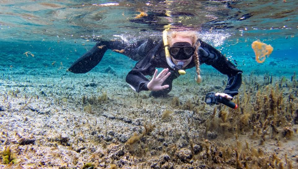 A student is underwater and waving to the camera while snorkeling