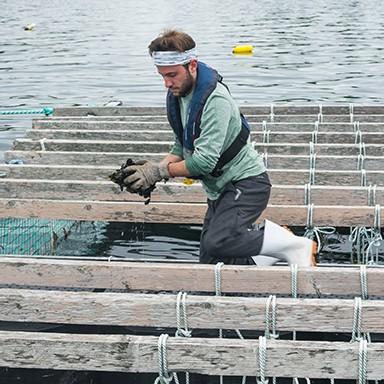 A PSM student holding onto a group of mussels