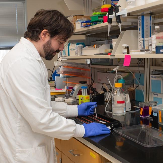 A U N E student does research in a lab