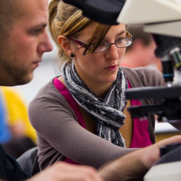 Two students working on a microscope lab project together