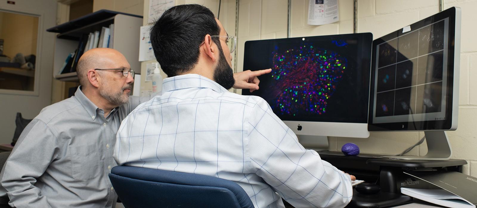 A professor points to a histology image on a computer screen