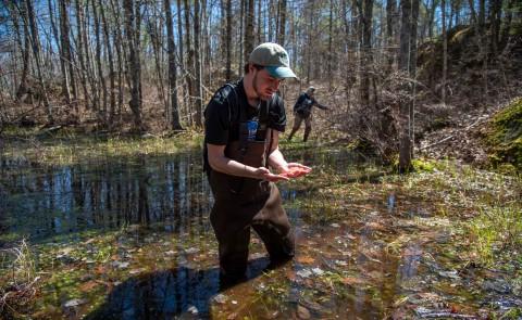 Alex Woodworth Vernal Pools